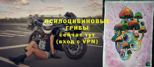 стафф Абдулино
