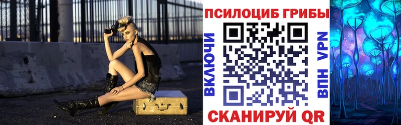 купить закладку  Берёзовка  мега маркетплейс  Галлюциногенные грибы прущие грибы 